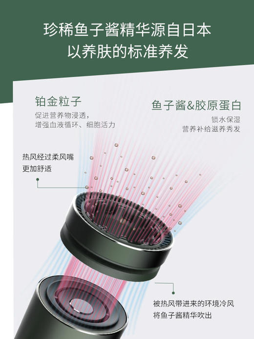 [新年礼物]AIRFLY吹风机家用负离子鱼子酱护发大风力高速电吹风筒 商品图1