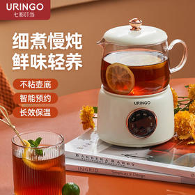 【高颜值养生神器】七彩叮当分体养生杯隔水鲜炖8小时保温烧水/燕窝/花茶/姜茶/甜品/炖煮全包揽杯壶两用