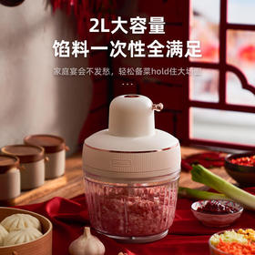 【8秒速成绞肉】七彩叮当绞肉一体式下沉头两档调速点动绞打可拆卸清洗2L大容量