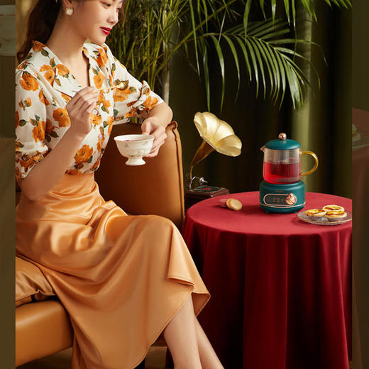 【现货发】【浦利顿电炖杯】电热杯便携式烧水杯电煮杯办公室热水杯鲜炖杯 商品图2