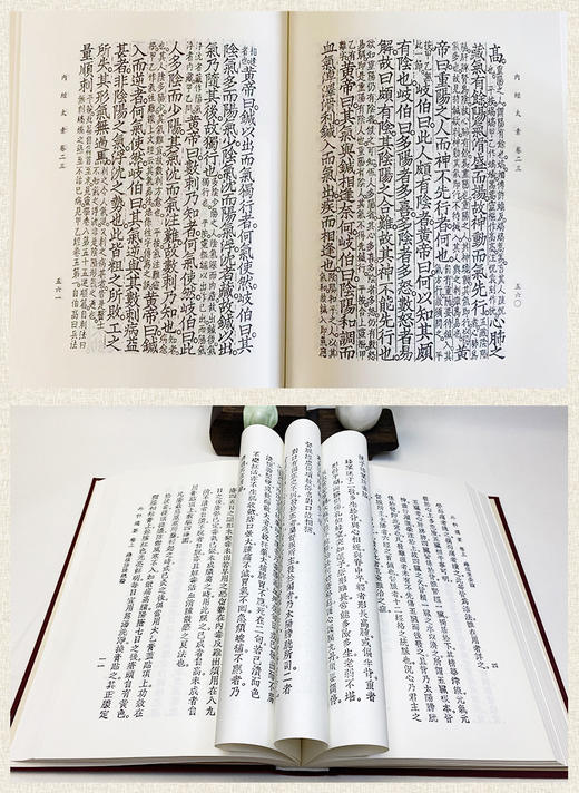 中国医学大成续集 49册 商品图10