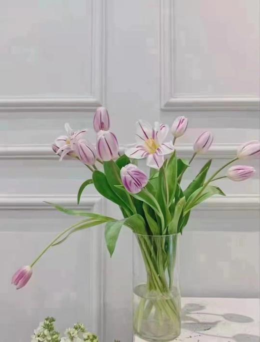 氧气商城三八女神月鲜花专场 昆明鲜花 品质花： 次卡/季卡/半年卡/年卡 商品图1