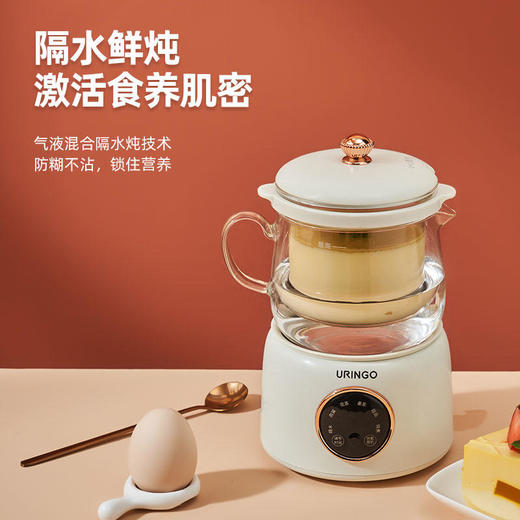 【高颜值养生神器】七彩叮当分体养生杯隔水鲜炖8小时保温烧水/燕窝/花茶/姜茶/甜品/炖煮全包揽杯壶两用 商品图2