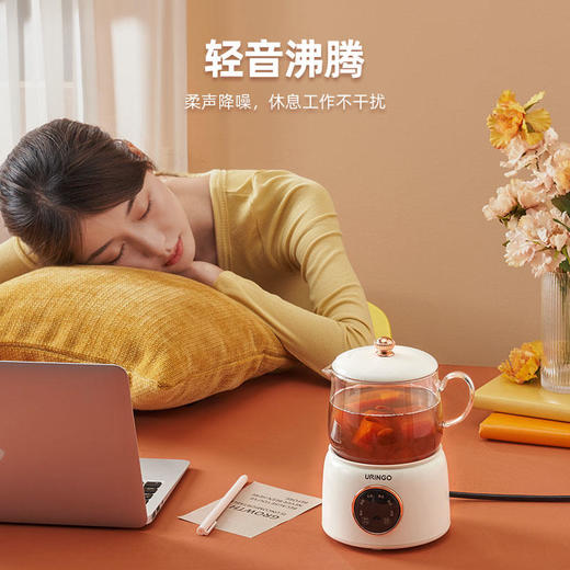 【高颜值养生神器】七彩叮当分体养生杯隔水鲜炖8小时保温烧水/燕窝/花茶/姜茶/甜品/炖煮全包揽杯壶两用 商品图1