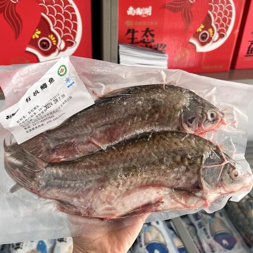 丨有机丨南都湖鲫鱼 翘嘴鱼  鱼已经去鳞、去内脏 商品图1