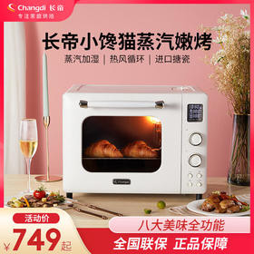 长帝新品TV32C小馋猫家用常规电烤箱
