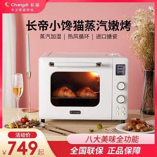 长帝新品TV32C小馋猫家用常规电烤箱 商品图0