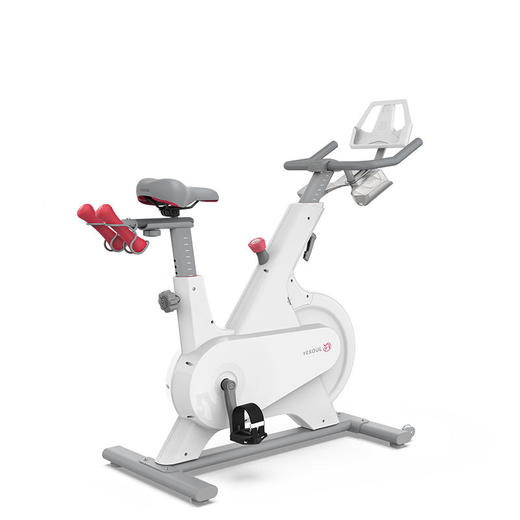 野小兽智能动感单车家用室内器材超静音健身车小米有品M1-pro-蓝牙版白色 商品图0