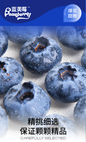 云南蓝莓鲜果