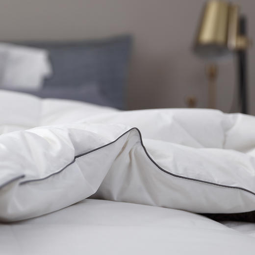 套件者福音 斯诺白色系可水洗鹅绒被（春秋/冬被） 商品图4