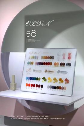 【秒杀价】甲油胶美甲店专用套装58色