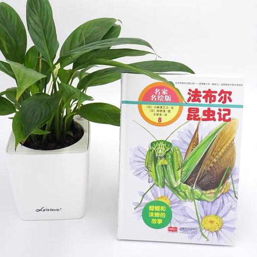正版 《法布尔昆虫记》全10册 科学经典 文学著作 水彩插画 商品图3