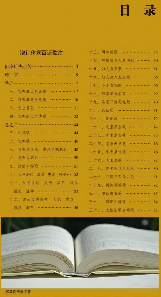 何廉臣传世明著 商品图2