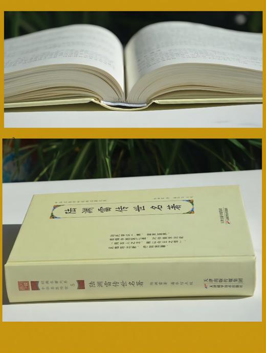 陆渊雷传世名著 商品图5