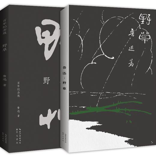 野草 百年纪念版 商品图0