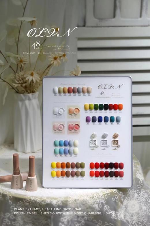 【秒杀价】48色日系流行色甲油胶 商品图1