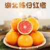 【新鲜水果】中华红血橙  3斤/5斤/9斤 商品缩略图1