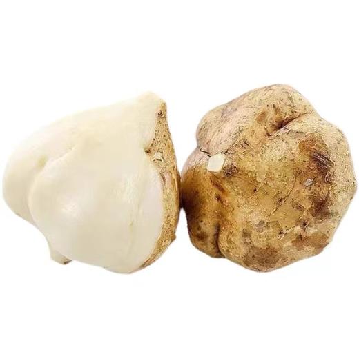 白凉薯（约500g） 商品图0