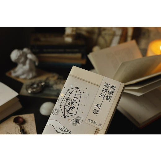 我偏爱读诗的荒谬 廖伟棠 著 文学 商品图1