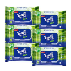 【6包装】得宝（Tempo） 湿厕纸 植物呵护敏感肌专用40片/包x6包 经期可用抽取式湿厕纸（新旧包装随机发货）