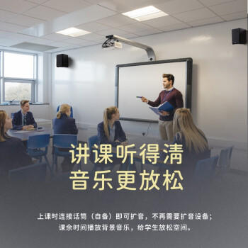 漫步者（EDIFIER） R800K 教室小型会议室专用音箱 商品图3