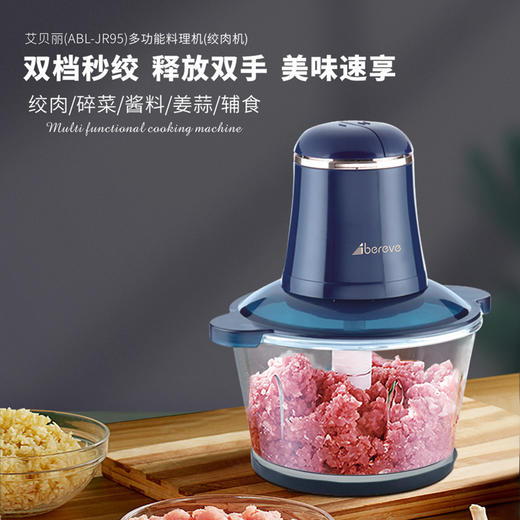 艾贝丽 | 多功能绞肉机ABL-JR95小家电 商品图0