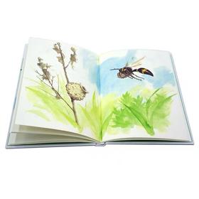 正版 《法布尔昆虫记》全10册 科学经典 文学著作 水彩插画