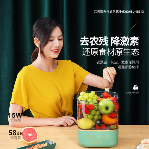 艾贝丽 | 分体式果蔬净化仪ABL-GS13小家电 商品图0