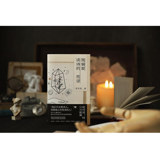 我偏爱读诗的荒谬 廖伟棠 著 文学 商品图2