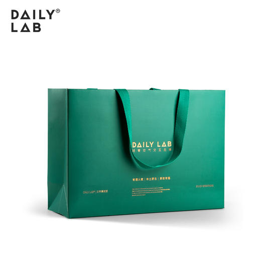 【请勿单拍，单拍不发】DAILYLAB 车载香薰室内香氛轻奢大绿/小红礼品袋（送礼搭配） 商品图11