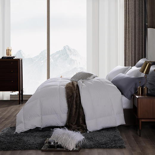 套件者福音 斯诺白色系可水洗鹅绒被（春秋/冬被） 商品图1