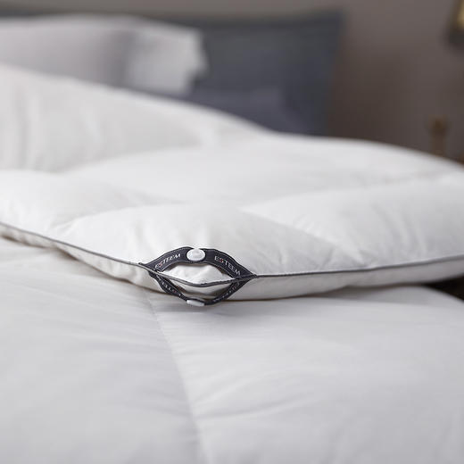 套件者福音 斯诺白色系可水洗鹅绒被（春秋/冬被） 商品图3