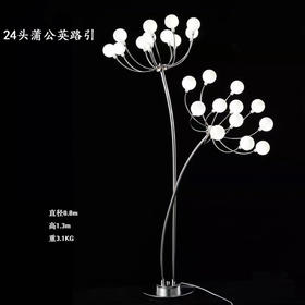 24头蒲公英路引【运费自理】