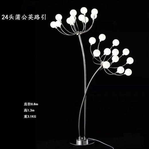 24头蒲公英路引【运费自理】 商品图0