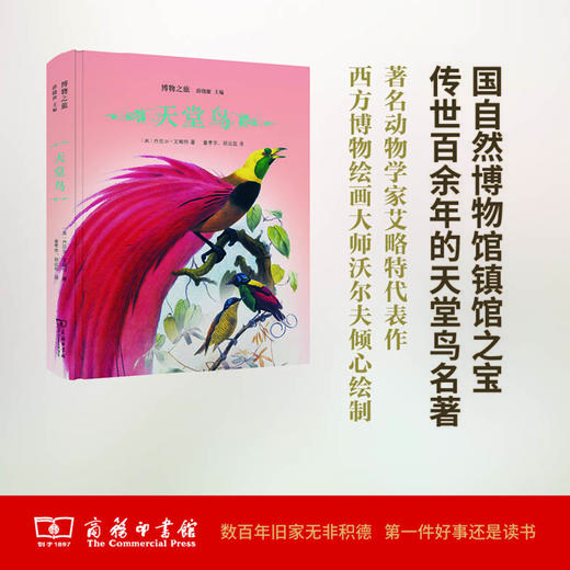 天堂鸟(博物之旅) 商品图0