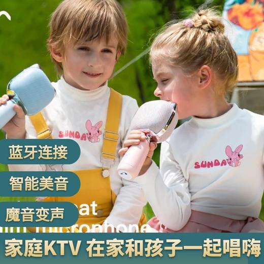 maxevis 儿童迷你麦克风 商品图3