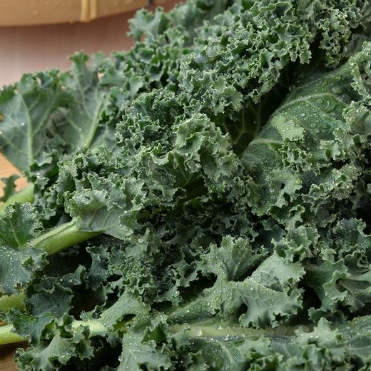 羽衣甘蓝 约120g/袋 商品图3