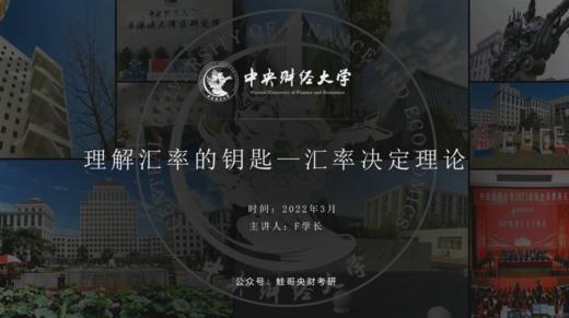 第四讲：理解汇率的钥匙—汇率决定理论 商品图0