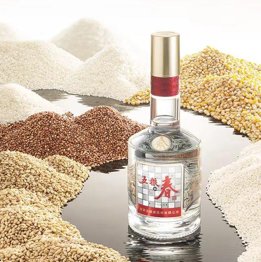 五粮春酒（第二代）52° 500ml 商品图3