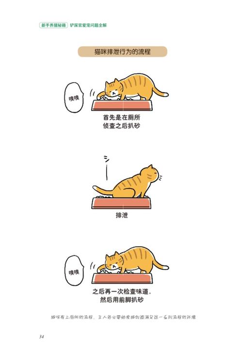 新手养猫秘籍 铲屎官爱宠问题全解（我的宠物书） 商品图7