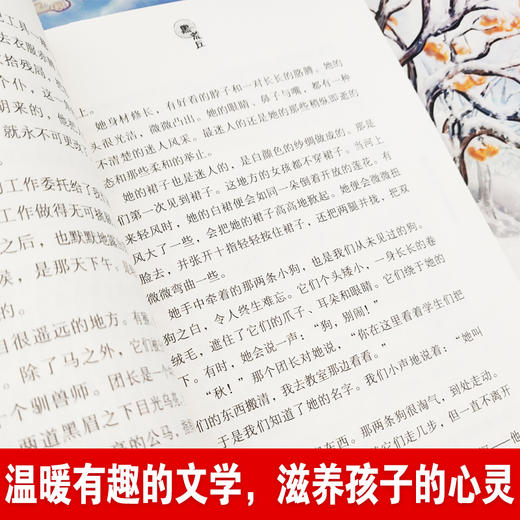 曹文轩课外阅读书籍儿童文学获奖作品系列丛书全套5册曹文轩作品集自选小说集三四五六年级课外书必读老师推荐儿童故事书文学书籍 商品图1