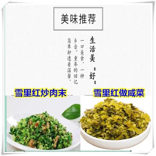 雪里红（约500g） 商品图1