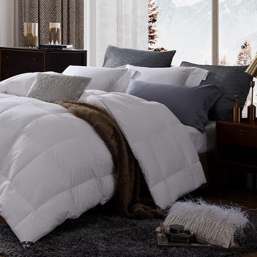 套件者福音 斯诺白色系可水洗鹅绒被（春秋/冬被） 商品图0