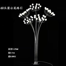 60头蒲公英路引【运费自理】