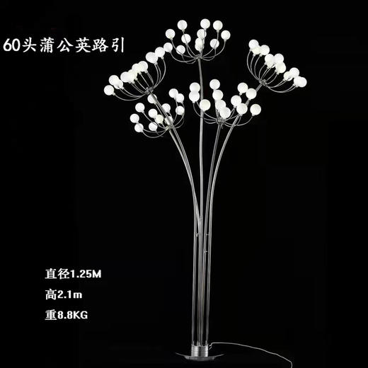 60头蒲公英路引【运费自理】 商品图0