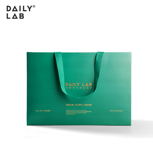 【请勿单拍，单拍不发】DAILYLAB 车载香薰室内香氛轻奢大绿/小红礼品袋（送礼搭配） 商品图3