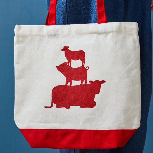 Tender Plus 品牌周边环保袋 商品图2