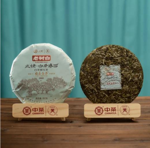 中茶蝴蝶5609白芽春雪老树白茶白茶饼357g（福鼎工厂开工版） 商品图5