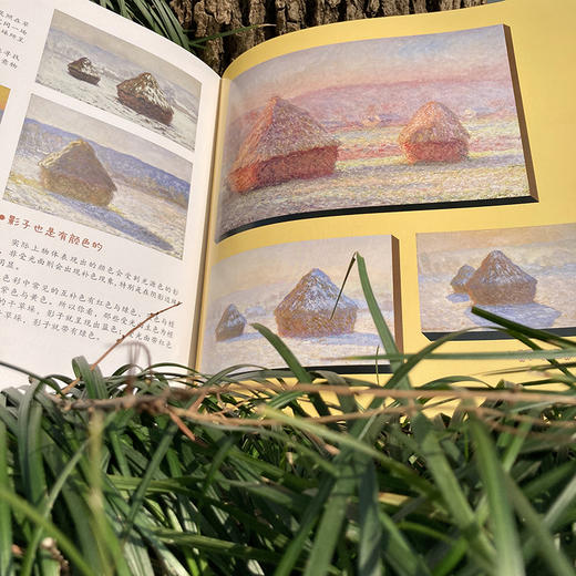 大师的秘密：莫奈 商品图2