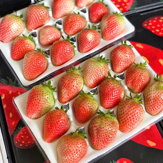 【有仙气的草莓】孕妇儿童放心吃，本地红颜草莓，无膨大剂，无催熟，自然成熟，当季时鲜！！ 商品图11